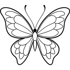 Butterfly vector illustration with line art..