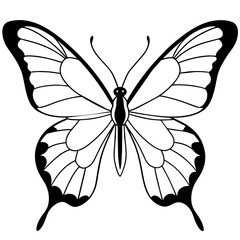     Butterfly vector illustration.
