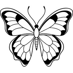     Butterfly vector illustration.
