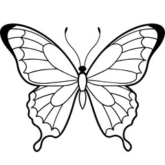    Butterfly vector illustration.
