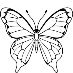    Butterfly vector illustration.
