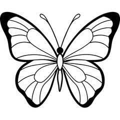     Butterfly vector illustration.
