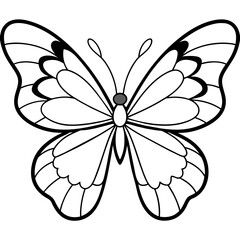     Butterfly vector illustration.

