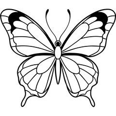 Fototapeta premium Butterfly vector illustration. 