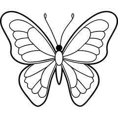     Butterfly vector illustration.
