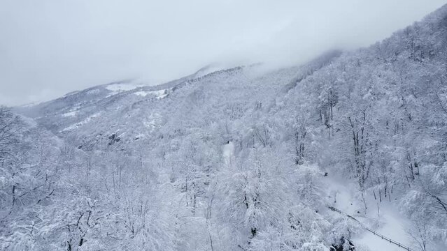 Lac enneig&eacute; Bethmale Ari&egrave;ge for&ecirc;t neige