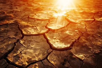 Tuinposter Severe drought desert landscape with cracked mud and intense sunlight, global warming concept. © Sunday Cat Studio