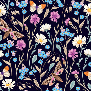 Seamless pattern with meadow flower and butterfly