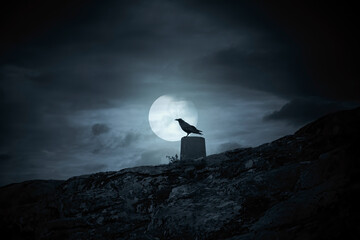 Full moon crow - obrazy, fototapety, plakaty