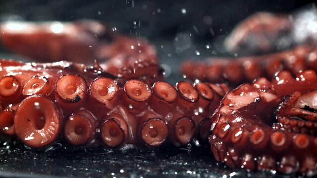 Super slow motion Fried octopus tentacles. High quality FullHD footage