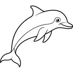illustration of a dolphin