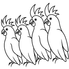 two parrots on a white background