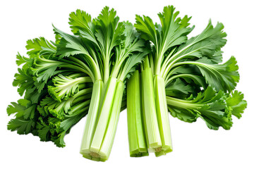 Celery isolated. PNG transparency. Isolated on transparent background.