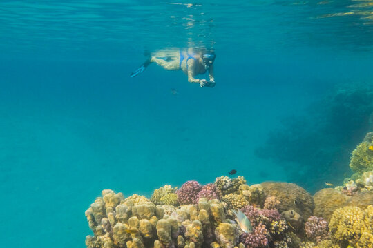 woman in blue bikini snorkeling and photographing over a colorful coral reef