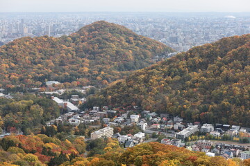 秋の色深まる晩秋の大倉山より眺めた札幌の街