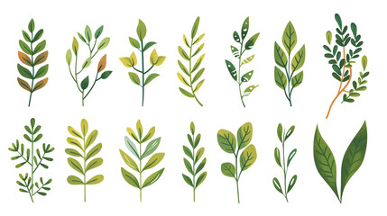 collection of illustrated foliage leaves on transparent background png, variety of shapes and shades