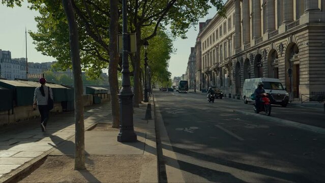 Person Walking Along Tree-Lined Paris Street