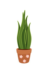 A houseplant in a pot. Sansevieria. Garden in the house. Vector.
