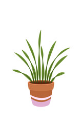 A houseplant in a pot. Garden in the house. Vector on white background.