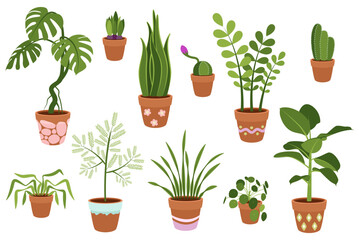 A set of potted indoor plants. Vector on white background.
