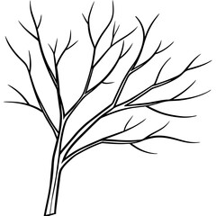 silhouette of a tree