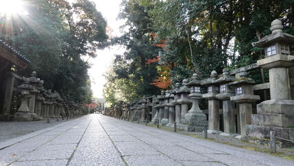 京都の神社