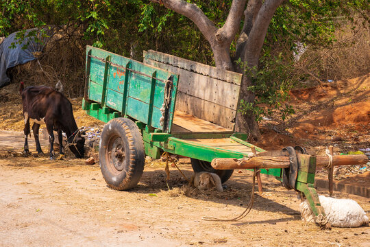 Old traditional bullock cart india