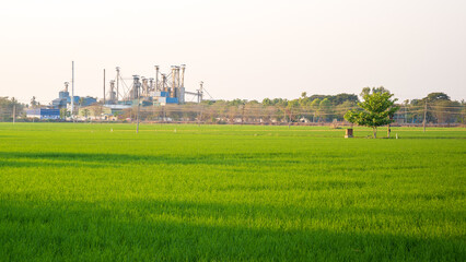 Landscape shot rice mill and green rice field. © DEVIKA PRODUCTION