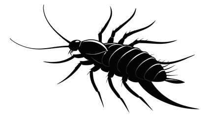 silverfish silhouette vector illustration 