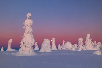 Zelfklevend Fotobehang landscape with snow © Artem