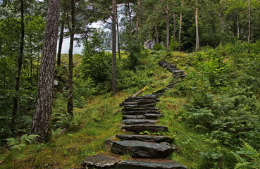 Hiking track to the waterfall Svandalsfossen at the scenic route Ryfylke in Norway, Europe
