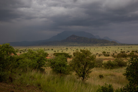 Pian Upe Wildlife Reserve, Uganda