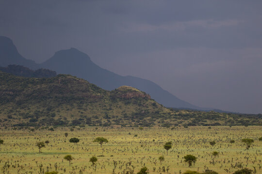 Pian Upe Wildlife Reserve, Uganda