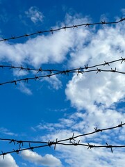 Forbidden zone, live barbed wire. Barbed wire against a blue sky. Concept: imprisonment, slavery, captivity