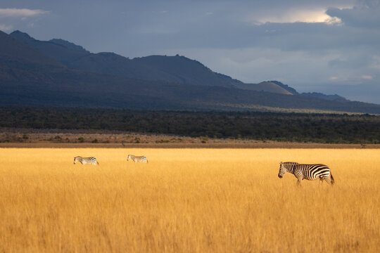 Chyulu Hills kenya
