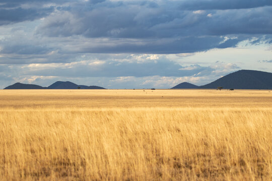 Chyulu Hills kenya