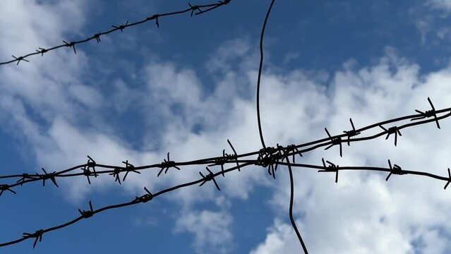 Forbidden zone, live barbed wire. Barbed wire against a blue sky. Concept: imprisonment, slavery, captivity