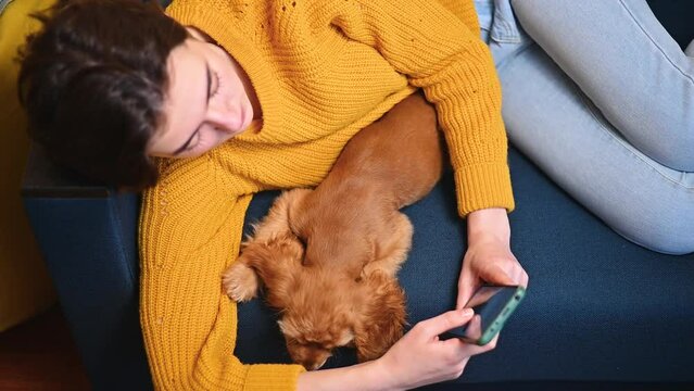 Top view woman resting with her English Cocker Spaniel puppy and using a mobile phone while lying on the sofa. Chatting, browsing the Internet on a smartphone