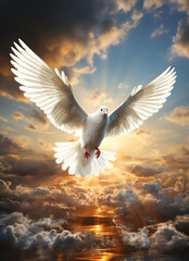 Obraz premium Dove in the air with wings wide open in front of the sun. Dove flying in the sky with light and rays