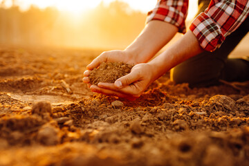 Farmer's hands holding soil, checking soil health before sowing. Ecology, agriculture concept. - obrazy, fototapety, plakaty