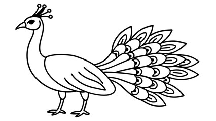 illustration of chicken
