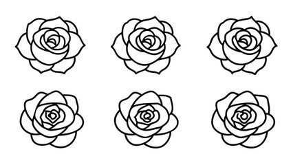 set of rose