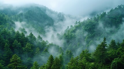 The scent of pine mingled with the crisp mountain air, invigorating the senses with every breath.