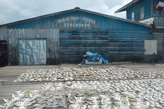 dried fish farming