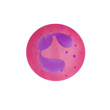 Segmented neutrophil isolate illustration