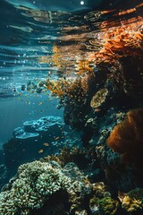 Cobalt and tawny, a striking pair, offering a visual of deep ocean mysteries and earthy, autumnal whispers - obrazy, fototapety, plakaty