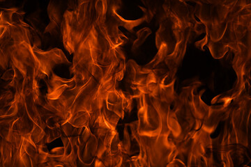 The fire, burning flame. Large burning flaming fire. - obrazy, fototapety, plakaty