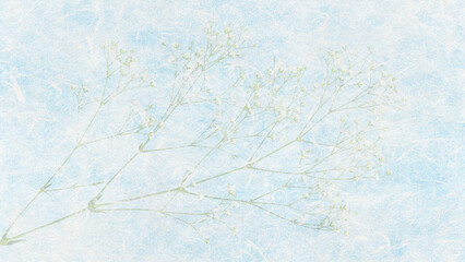 青空色の雲龍和紙に漉き込んだ、ナチュラルなかすみ草
