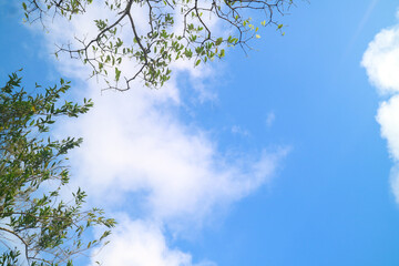 sky and clouds
