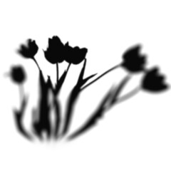 Floral Shadow Shape, overlay shadow effect isolated on transparent background